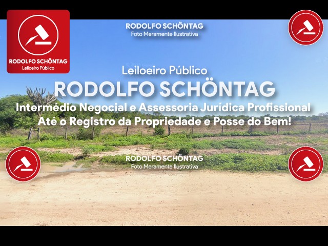 Imagem 3
