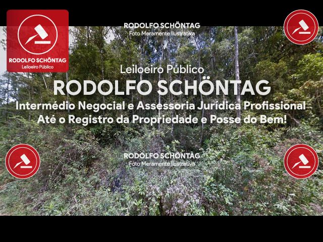 Imagem 3