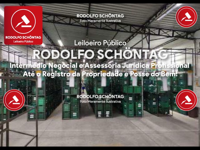 Imagem 13