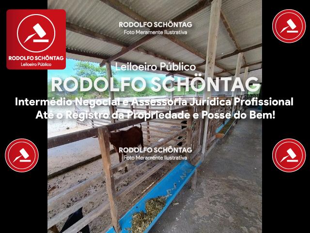 Imagem 6