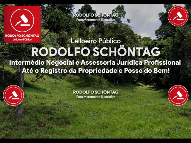 Imagem 3