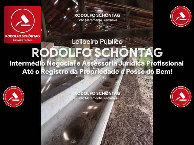 Imagem 5