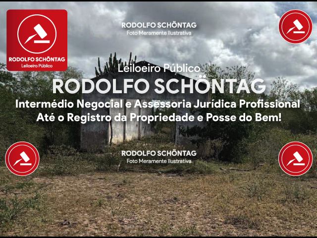 Imagem 7