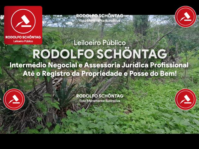 Imagem 3