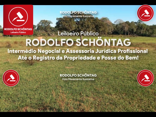 Imagem 3