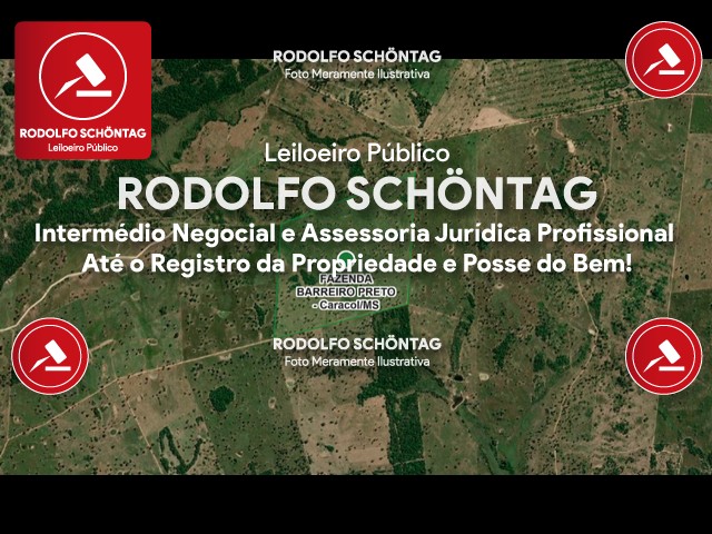 Imagem 6