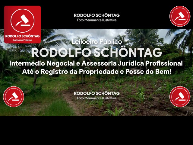 Imagem 3