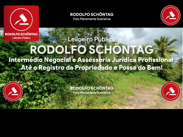 Imagem 3