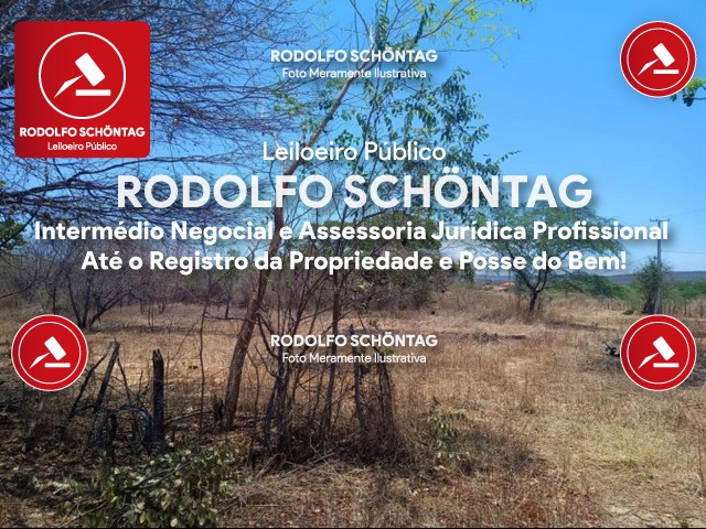 Imagem 10