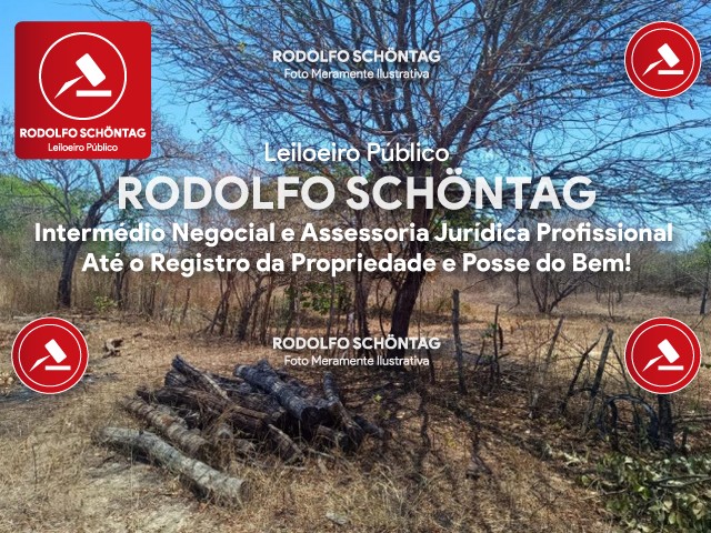 Imagem 11