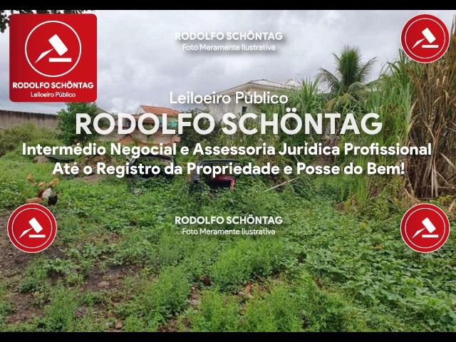 Imagem 5