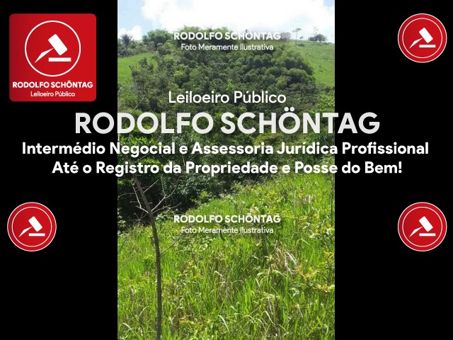 Imagem 11