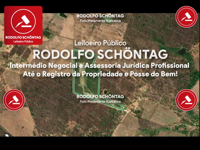 Imagem 3