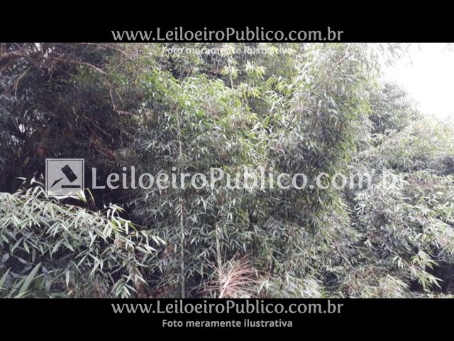 TAIÓ (SC): TERRENO 2.229.194,82 m², localizado em Taió - SC