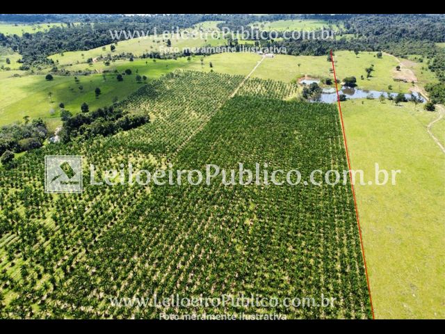 PARANAÍTA (MT): TERRENO 75,00 ha, localizado em Paranaíta - MT