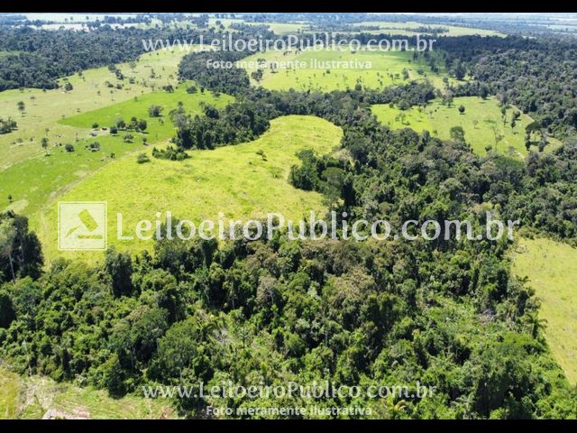 PARANAÍTA (MT): TERRENO 75,00 ha, localizado em Paranaíta - MT