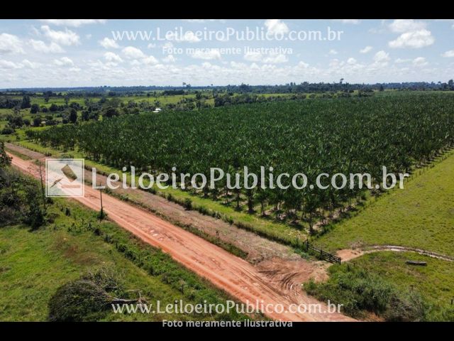 PARANAÍTA (MT): TERRENO 75,00 ha, localizado em Paranaíta - MT