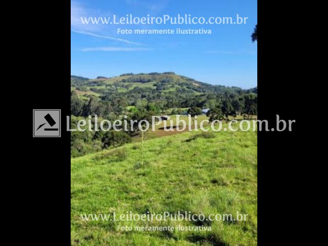 CAPÃO B. DO SUL (RS): TERRENO 6 HAS.5.000 M², localizado em Capão Bonito Do Sul - RS