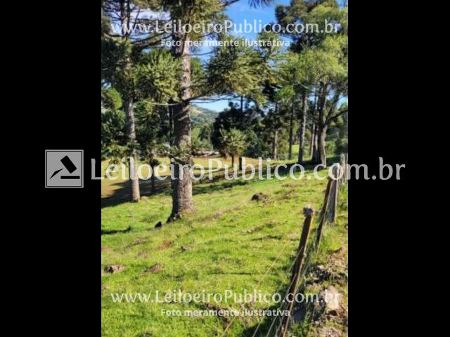 CAPÃO B. DO SUL (RS): TERRENO 6 HAS.5.000 M², localizado em Capão Bonito Do Sul - RS