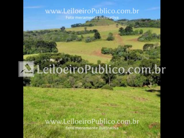 CAPÃO B. DO SUL (RS): TERRENO 6 HAS.5.000 M², localizado em Capão Bonito Do Sul - RS