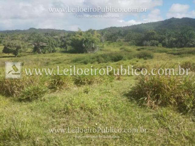Salinas da margarida (ba): lote