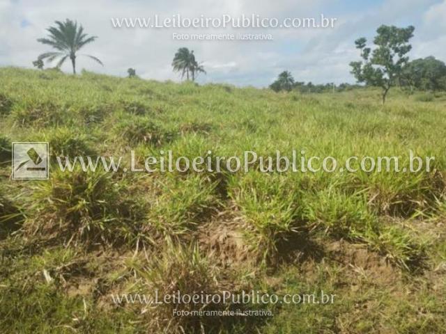 Salinas da margarida (ba): lote