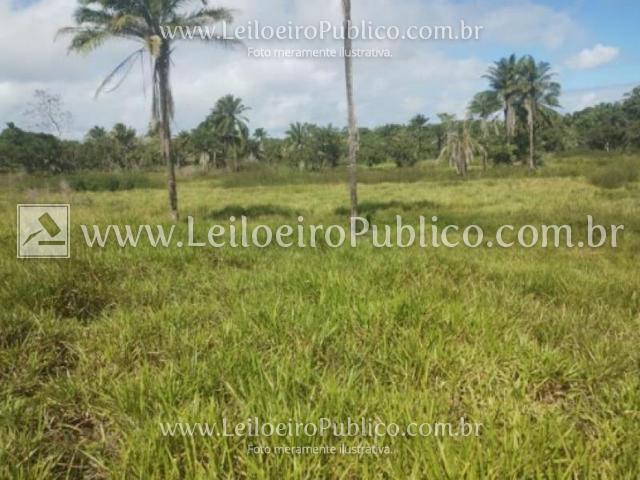 Salinas da margarida (ba): lote