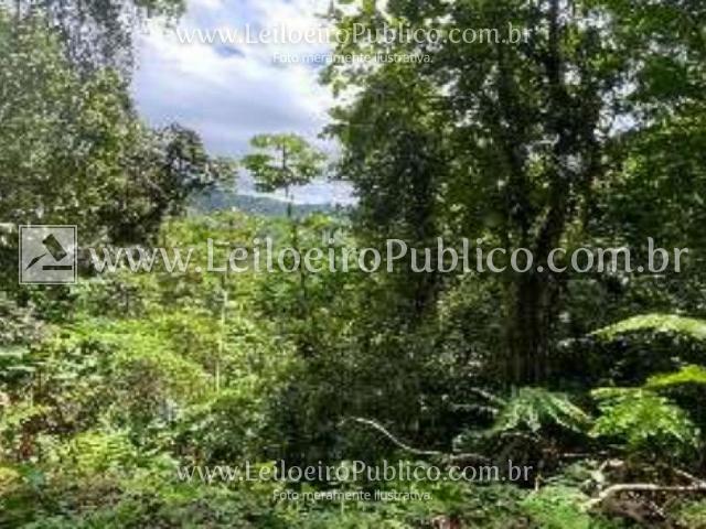 Blumenau (sc): lote