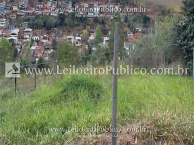 São miguel do anta (mg): lote