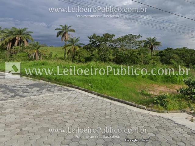 Formiga (mg): lote