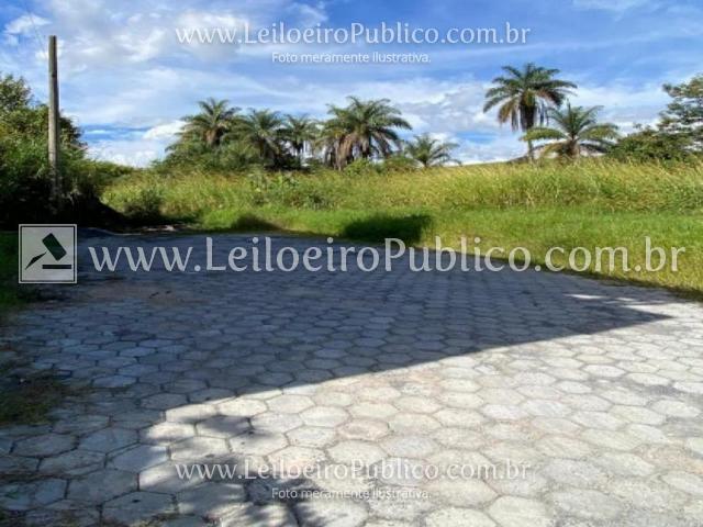 Formiga (mg): lote