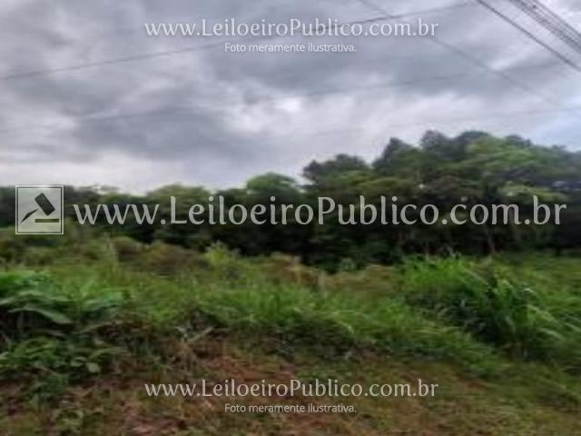 Canela (rs): lote