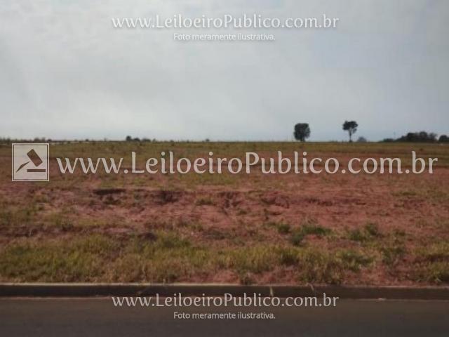 Marília (sp): lote