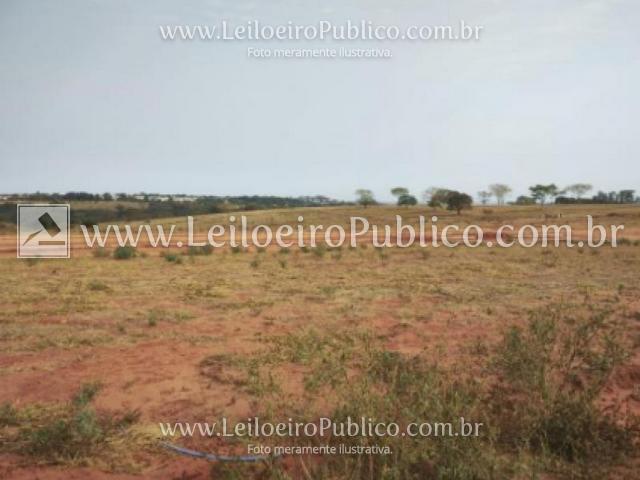 Marília (sp): lote