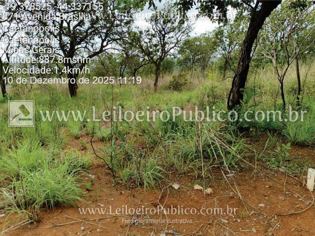 CAETANÓPOLIS (MG): LOTE, localizado em Caetanópolis - MG