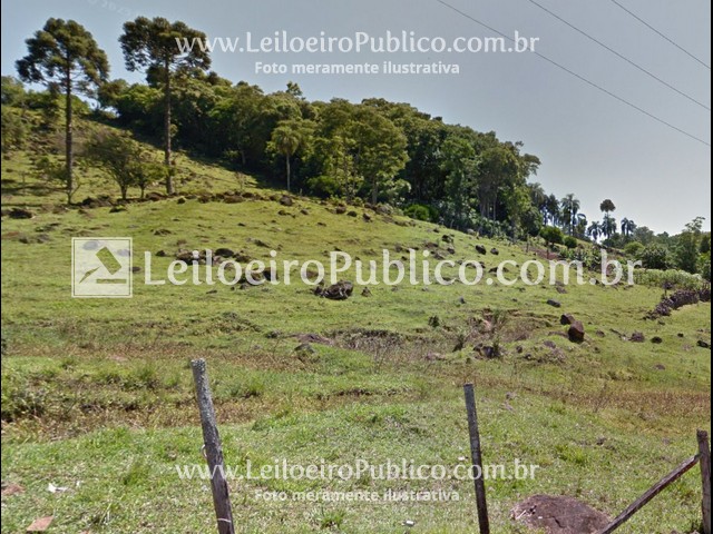 Terreno no Parte dos Lotes nºs 262 e 263 (foto 3 de 5)
