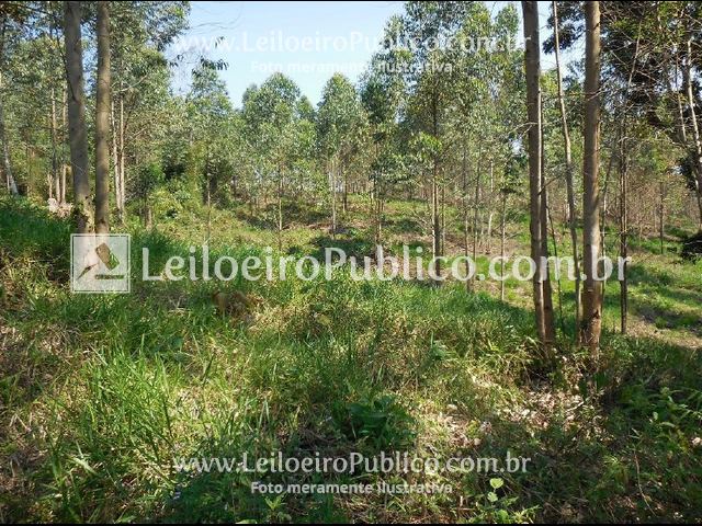 Imagem do imóvel MOGI DAS CRUZES (SP): TERRENO RURAL 135.272,00 m²